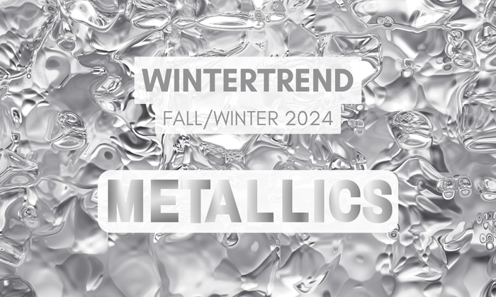 Herfst/Winter 2024: All About Metallics!